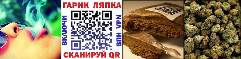наркотики  Тында  ГАШИШ Cannabis 
