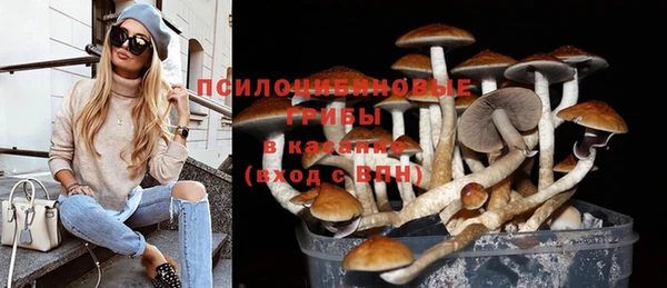 стафф Абаза